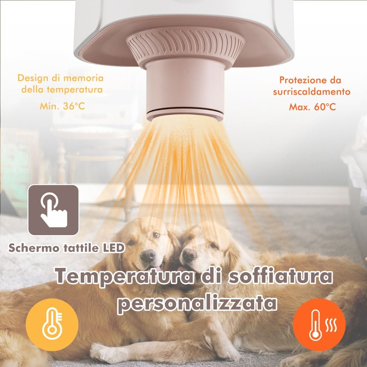 Phon per Cani E Gatti Con Funzione Ionica Negativa Temperatura Flusso D'Aria Regolabili, Asciugatore per Peli Di Cani