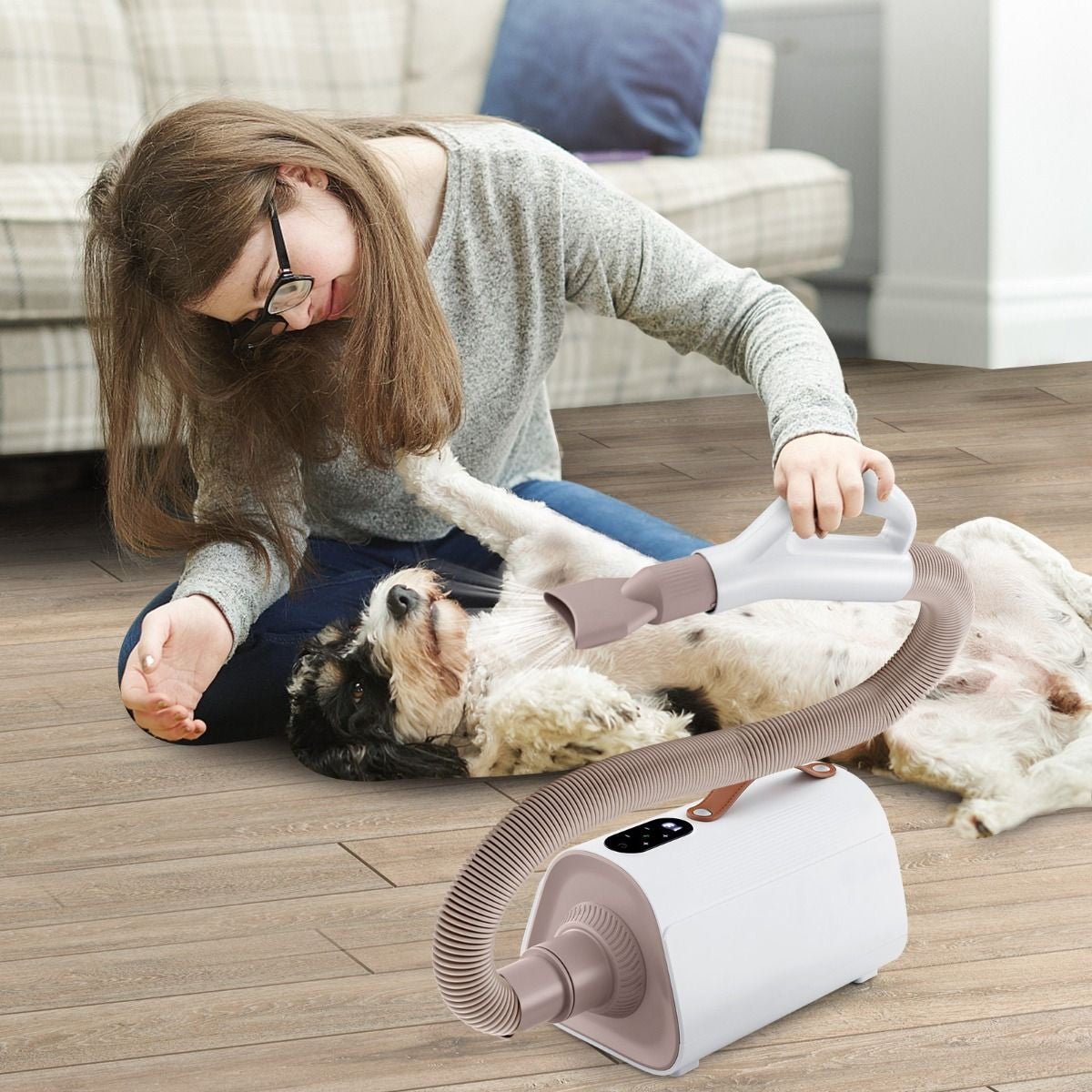 Phon per Cani E Gatti Con Funzione Ionica Negativa Temperatura Flusso D'Aria Regolabili, Asciugatore per Peli Di Cani