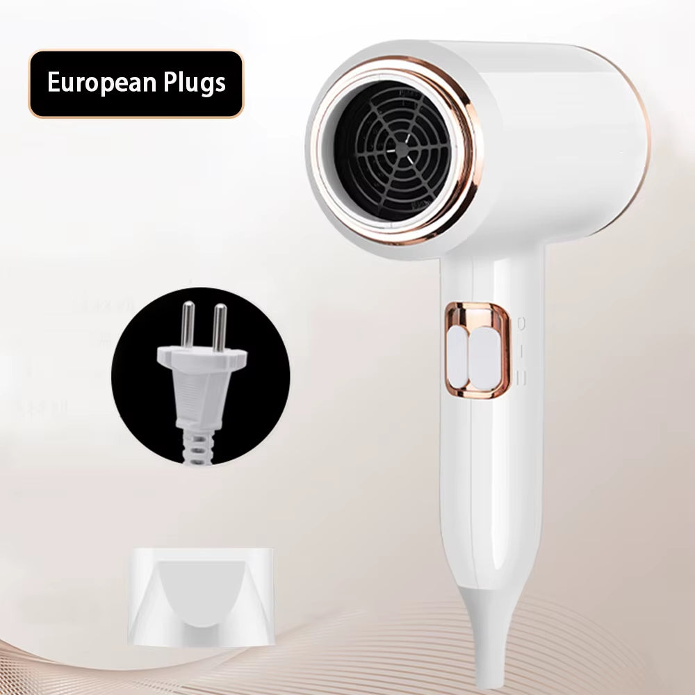 F33 T821 Professional Hair Dryer Hot Cold Wind Air Brush Hairdryer Negative Lonic Blow Dryer Strong Powerdryer Salon Tool 2400W