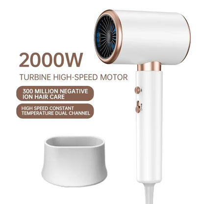 F33 T821 Professional Hair Dryer Hot Cold Wind Air Brush Hairdryer Negative Lonic Blow Dryer Strong Powerdryer Salon Tool 2400W