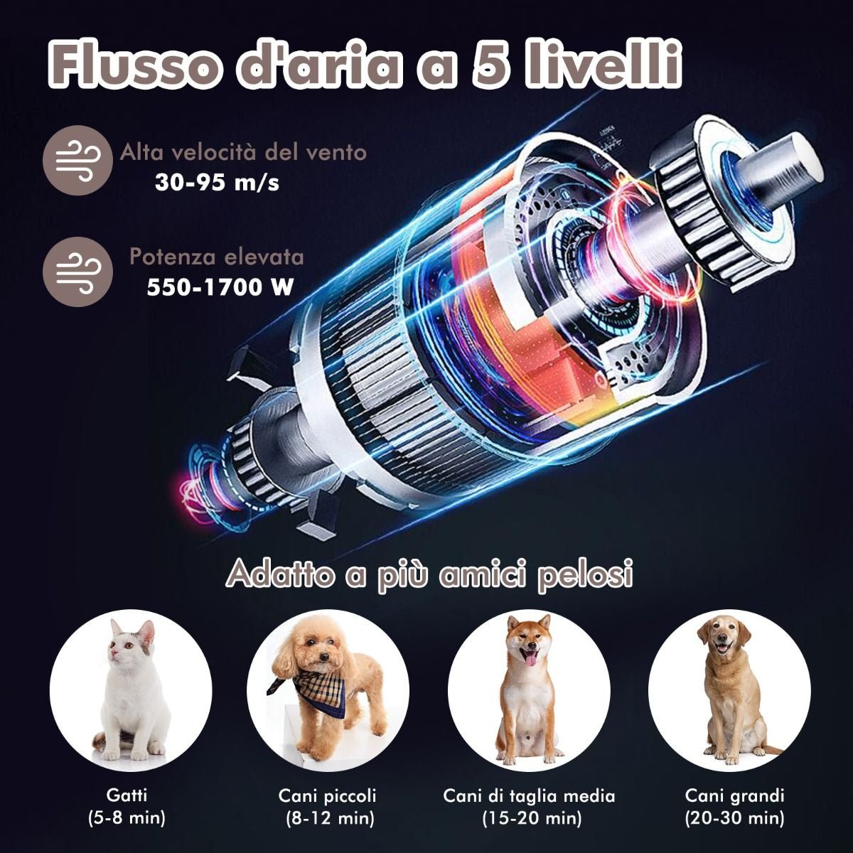 Phon per Cani E Gatti Con Funzione Ionica Negativa Temperatura Flusso D'Aria Regolabili, Asciugatore per Peli Di Cani