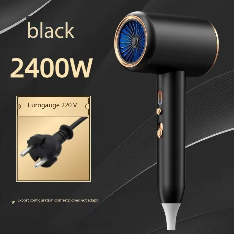 F33 T821 Professional Hair Dryer Hot Cold Wind Air Brush Hairdryer Negative Lonic Blow Dryer Strong Powerdryer Salon Tool 2400W